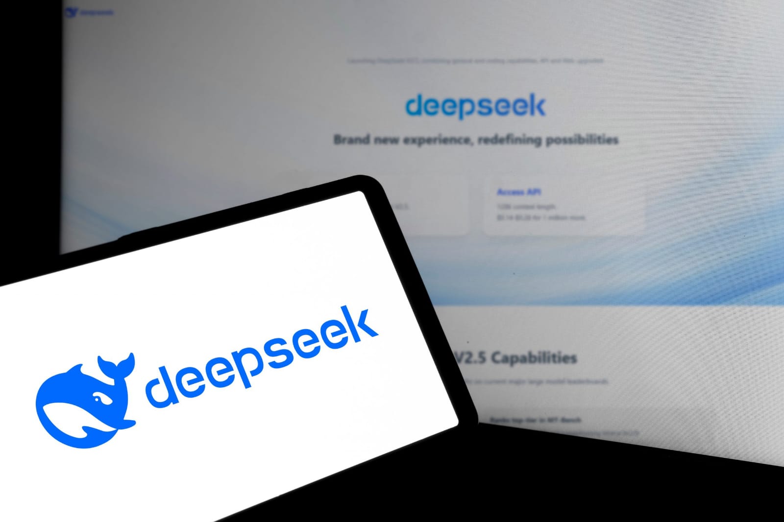 DeepSeek dilarang